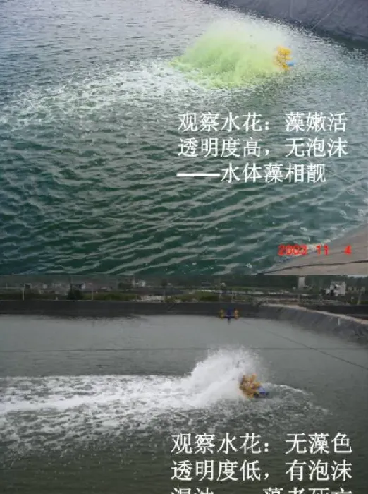 杜国平关于南美白对虾塘水质管理的课件分享