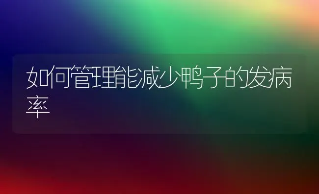 如何管理能减少鸭子的发病率 | 家禽养殖