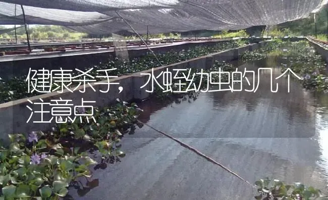 健康杀手，水蛭幼虫的几个注意点 | 特种养殖