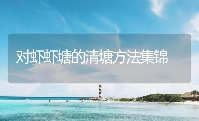 对虾虾塘的清塘方法集锦 | 海水养殖