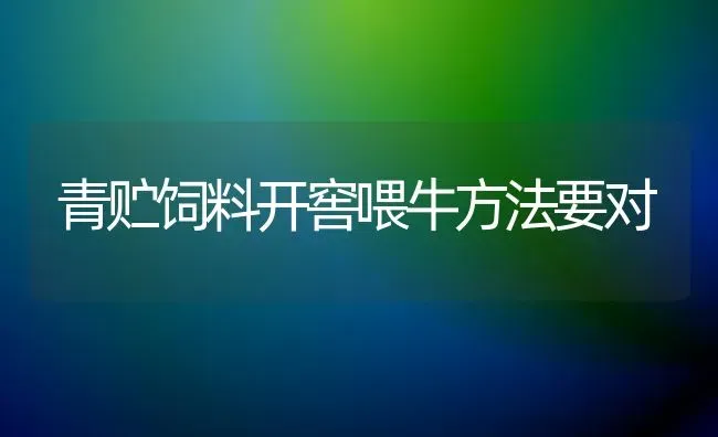 青贮饲料开窖喂牛方法要对 | 动物养殖饲料