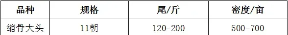 缩骨大头鱼与鲫鱼混养模式简介