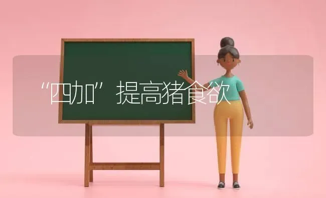 “四加”提高猪食欲 | 家畜养殖