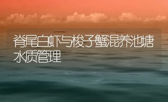 脊尾白虾与梭子蟹混养池塘水质管理 | 海水养殖