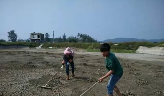 杜国平关于南美白对虾塘水质管理的课件分享