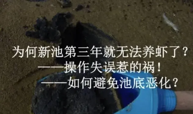 杜国平关于南美白对虾塘水质管理的课件分享
