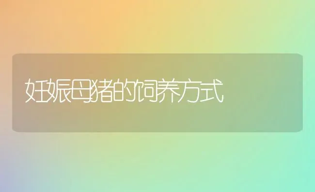 妊娠母猪的饲养方式 | 家畜养殖