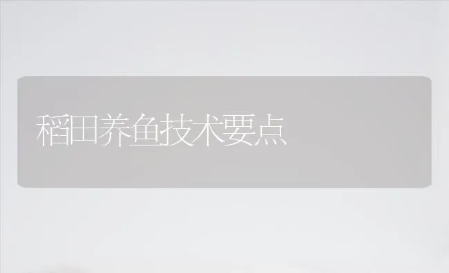 稻田养鱼技术要点 | 淡水养殖