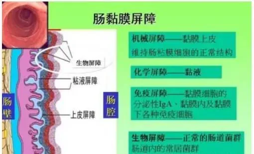 水产养殖过程中“菌虫藻渔”共生模式之菌篇详解