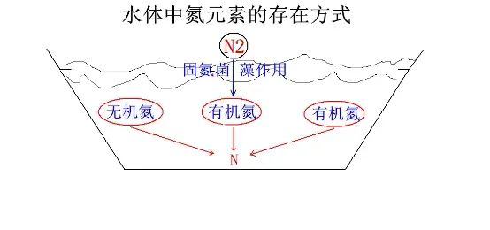 南美白对虾小棚养殖之水环境