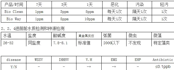 小水体标粗南美白对虾苗技术关键点控制