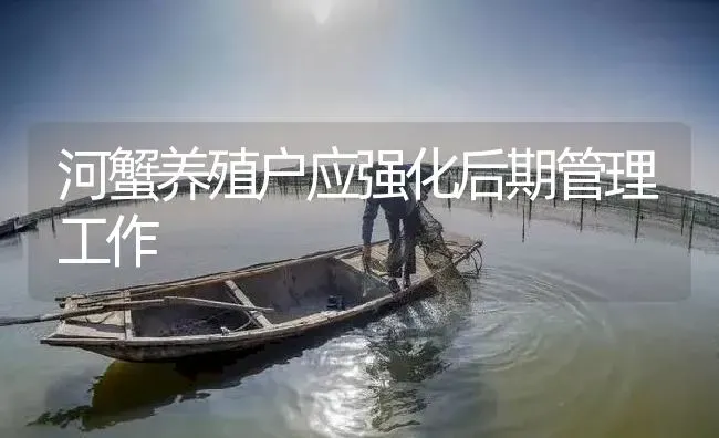 河蟹养殖户应强化后期管理工作 | 淡水养殖