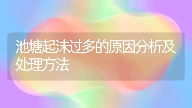 池塘起沫过多的原因分析及处理方法 | 动物养殖百科