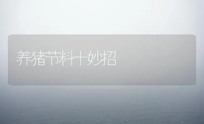 养猪节料十妙招 | 家畜养殖