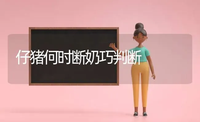 仔猪何时断奶巧判断 | 家畜养殖