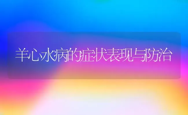 羊心水病的症状表现与防治 | 家畜养殖