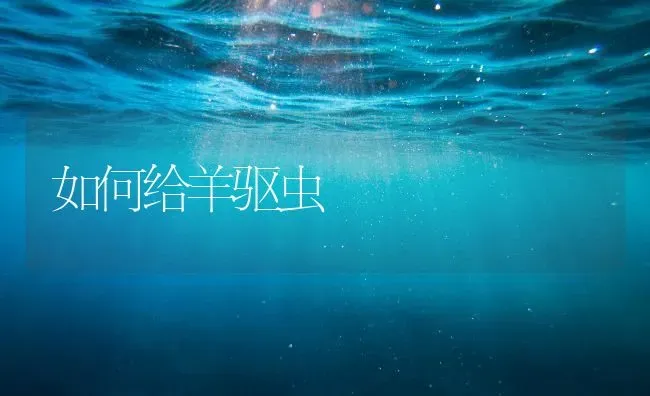 如何给羊驱虫 | 家畜养殖