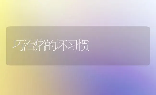 巧治猪的坏习惯 | 家畜养殖