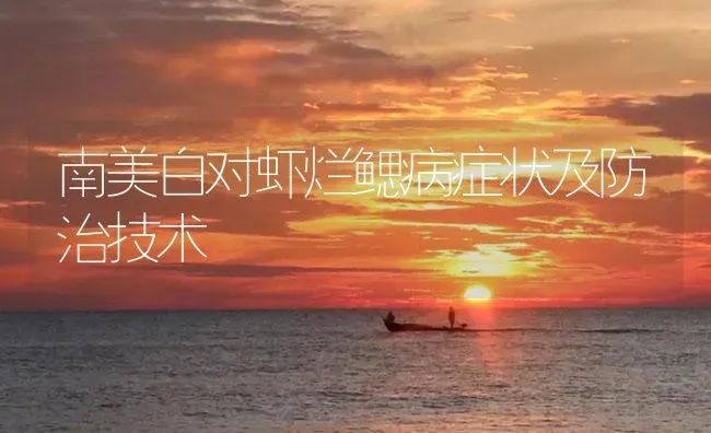 南美白对虾烂鳃病症状及防治技术 | 海水养殖