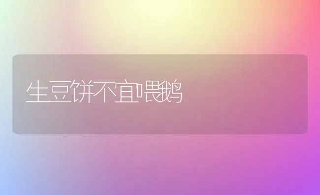 生豆饼不宜喂鹅 | 家禽养殖