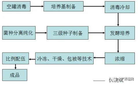 水产养殖过程中“菌虫藻渔”共生模式之菌篇详解