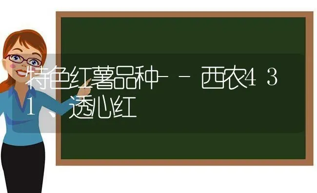 特色红薯品种--西农431、透心红 | 淡水养殖