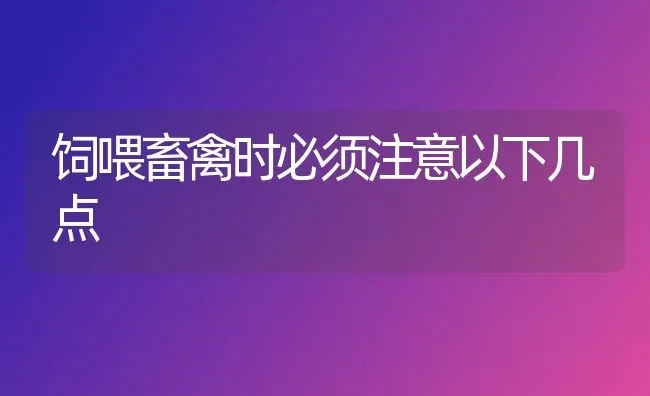 饲喂畜禽时必须注意以下几点 | 家禽养殖