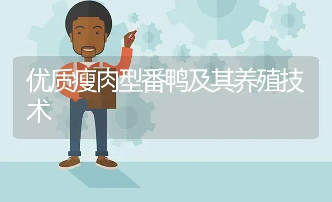 优质瘦肉型番鸭及其养殖技术 | 家禽养殖