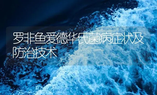 罗非鱼爱德华氏菌病症状及防治技术 | 养殖病虫害防治
