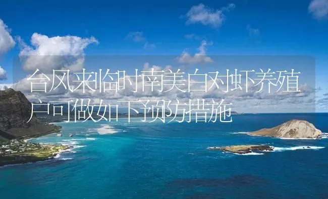 台风来临时南美白对虾养殖户可做如下预防措施 | 海水养殖