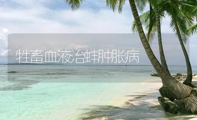 牲畜血液治蚌肿胀病 | 养殖病虫害防治