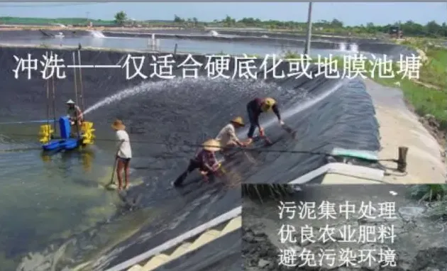 杜国平关于南美白对虾塘水质管理的课件分享