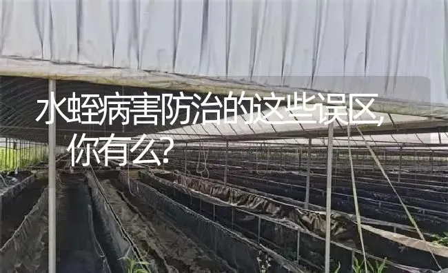 水蛭病害防治的这些误区, 你有么? | 特种养殖