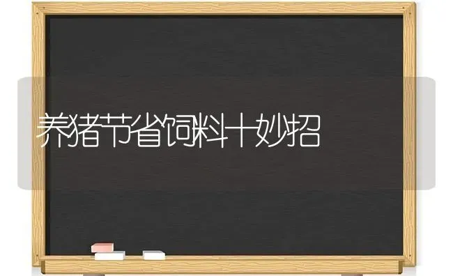 养猪节省饲料十妙招 | 家畜养殖