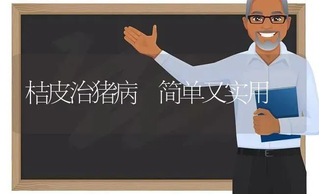 桔皮治猪病 简单又实用 | 家畜养殖