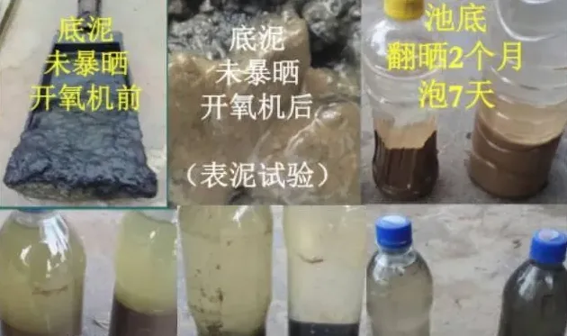 杜国平关于南美白对虾塘水质管理的课件分享