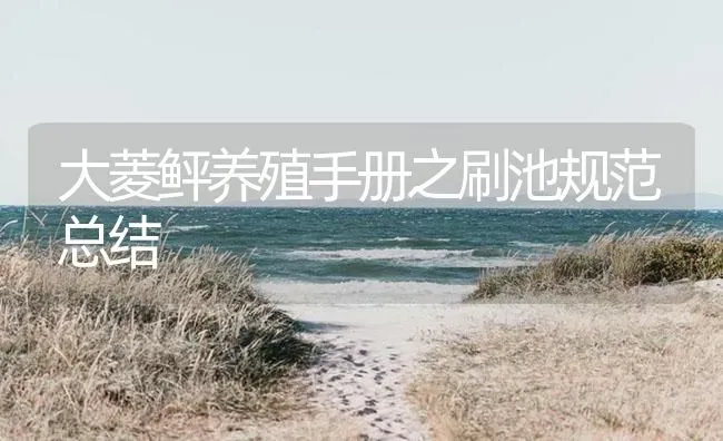 大菱鲆养殖手册之刷池规范总结 | 海水养殖