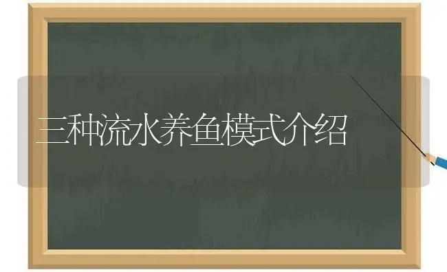 三种流水养鱼模式介绍 | 动物养殖百科