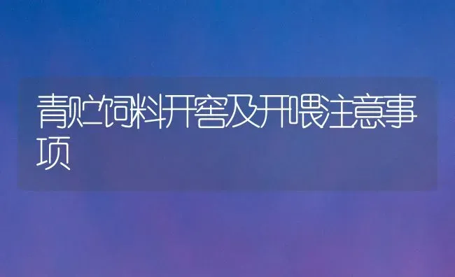 青贮饲料开窖及开喂注意事项 | 动物养殖饲料