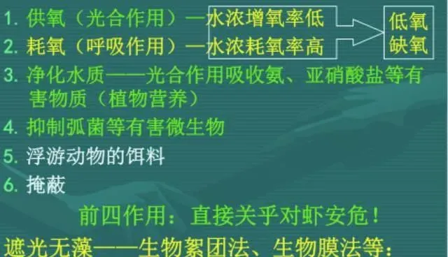 杜国平关于南美白对虾塘水质管理的课件分享