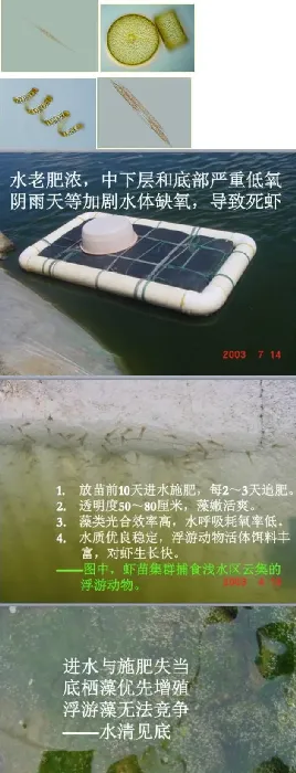 杜国平关于南美白对虾塘水质管理的课件分享