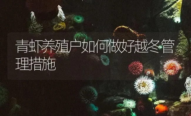 青虾养殖户如何做好越冬管理措施 | 海水养殖
