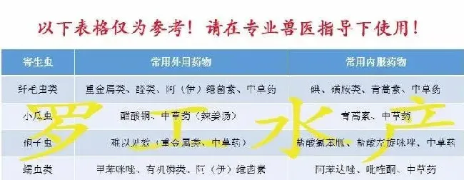 鱼虾浮头大量死亡，究竟是人为投毒还是缺氧？原因和处理方案全方位解读