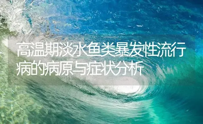 高温期淡水鱼类暴发性流行病的病原与症状分析 | 养殖病虫害防治