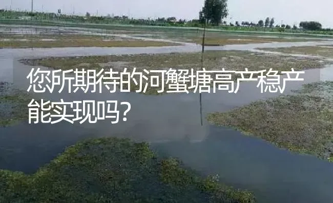 您所期待的河蟹塘高产稳产能实现吗？ | 淡水养殖