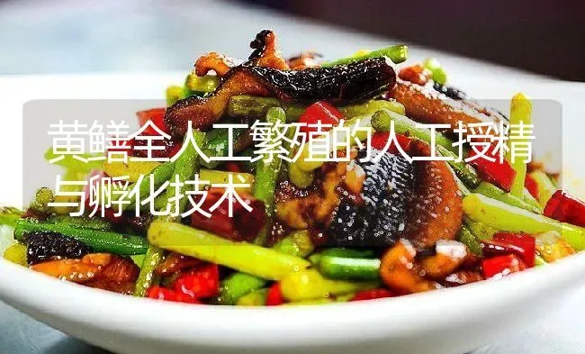 黄鳝全人工繁殖的人工授精与孵化技术 | 淡水养殖