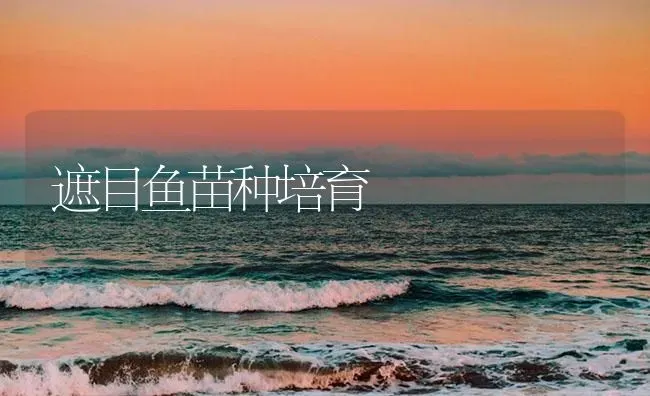 遮目鱼苗种培育 | 淡水养殖