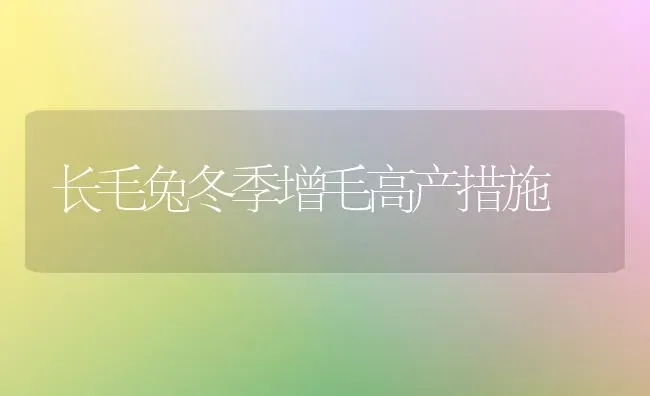 长毛兔冬季增毛高产措施 | 家畜养殖