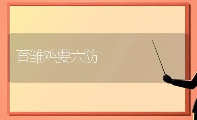 育雏鸡要六防 | 家禽养殖