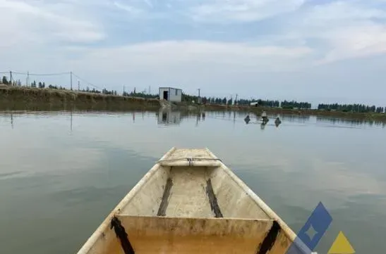 [每周一例]草鱼苗感染毛细线虫大量死亡